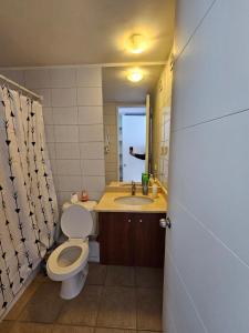 een badkamer met een toilet, een wastafel en een spiegel bij Bellavista ApartRent in Santiago
