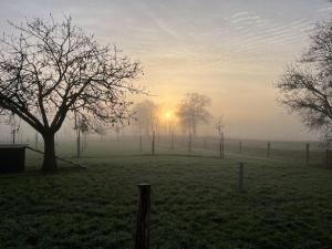 a foggy field with trees and a fence with the sunset at De Citadel - de Weide in Markelo