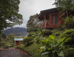 a house on the side of a hill with a road at Cedrela Eco-Lodge & Restaurante in El Copey
