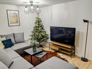 TV a/nebo společenská místnost v ubytování Kutnohorská vyhlídka