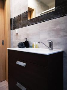 a bathroom with a sink and a mirror at ubytování U NIKY in Hodonín