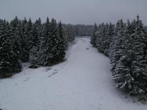 a snow covered road in a forest with trees at Appartement Les Adrets-Prapoutel, 2 pièces, 5 personnes - FR-1-557-52 in Les Adrets