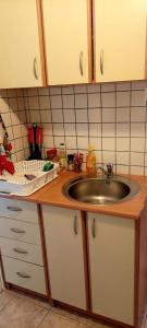 a kitchen with a sink and a counter top at Garsonjera in Zagreb