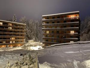 Φωτογραφία από το άλμπουμ του the NEST flims σε Flims