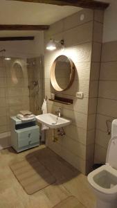 Komen的住宿－Kraska nisa，一间带水槽、镜子和卫生间的浴室