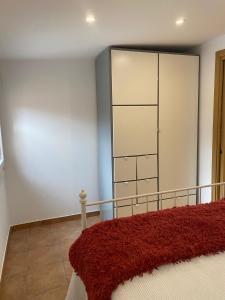 a bedroom with a large closet and a red rug at Apartamento Sant-Yago in Santiago de Compostela