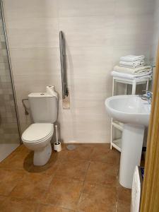 a bathroom with a toilet and a sink at Apartamento Sant-Yago in Santiago de Compostela