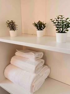 a shelf with towels and potted plants in a bathroom at Cozy 3 bdr Retreat in a Prime location in Streamwood