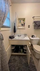 een badkamer met een wastafel en een toilet bij Blue Heron Sanctuary & Serene, river-front cottage in West Linn