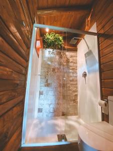 uma casa de banho com uma cabina de duche em vidro e uma planta em Itapeva Ecovillage em Torres