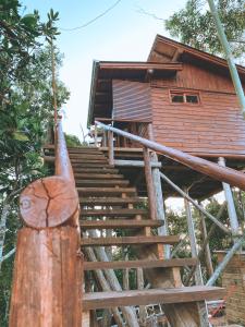 a staircase leading to a tree house at Chalés Itapeva Ecovillage in Torres