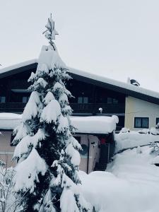 a snow covered christmas tree in front of a building at Appartementhaus Hochkönig - Panoramablick in Mühlbach am Hochkönig