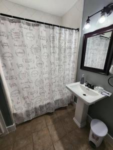 a bathroom with a sink and a shower curtain at Blue Shark *G13* @ Midtown Central 1BR King Apartment in Houston