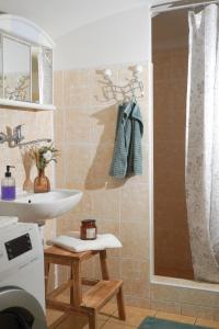 La salle de bains est pourvue d'un lavabo et d'une douche. dans l'établissement Chalupa na Valech, à Krompach