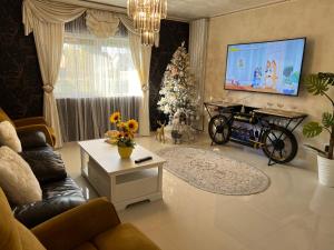 uma sala de estar com uma árvore de Natal e uma televisão em Casa verde em Săcălaz