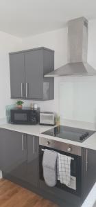 uma cozinha com um lavatório e um fogão forno superior em Dream Weaver Apartment em Swansea