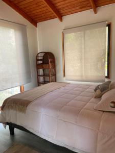 a bedroom with a large bed and a large window at CASARMONIA in Peumos