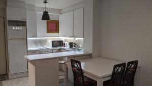 Kuchyň nebo kuchyňský kout v ubytování Apartment Reki