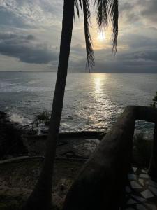 widok na ocean z palmą w obiekcie Sea Lulaby w mieście Ko Phangan