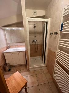 a bathroom with a shower and a sink at DUPLEX 50 m2 aux pieds des pistes les saisies hauteluce et contamines montjoie savoie 6 à 8 personnes 1 chambre et un coin nuit in Hauteluce