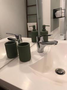 - un lavabo avec deux robinets verts dans l'établissement Terre Montbrisonnaise, à Montbrison