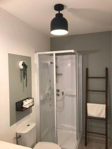 La salle de bains est pourvue d'une douche et de toilettes. dans l'établissement Terre Montbrisonnaise, à Montbrison