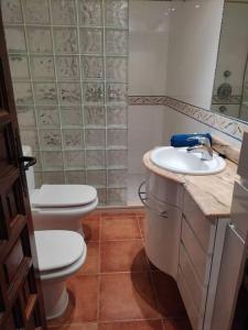 La salle de bains est pourvue de toilettes et d'un lavabo. dans l'établissement Apartamento Primera Linea Playa, à Roda de Bará