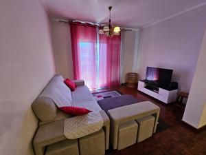 Una sala de estar con un sofá y un televisor. en SAO PEDRO APARTMENT, en Santa Cruz