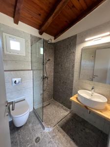 a bathroom with a shower and a sink and a toilet at Villa Filira in Achladies