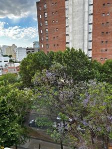 een boom met paarse bloemen voor gebouwen bij Monoambiente temporario Centro La Plata in La Plata
