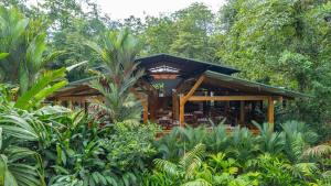 a building in the middle of a forest with trees at Chachagua Rainforest Hotel & Hot Springs in Fortuna