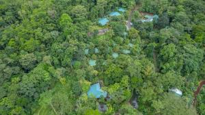 an overhead view of a forest with blue water at Chachagua Rainforest Hotel & Hot Springs in Fortuna