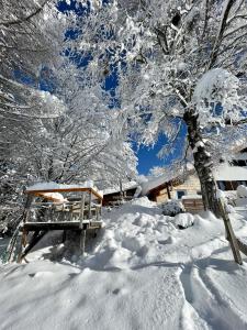 ein schneebedeckter Baum neben einem Haus in der Unterkunft Jungholz Chalet 65 in Jungholz