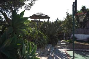 a garden with an umbrella and some plants at João Jungle in Açafora