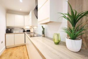 eine Küche mit weißen Schränken und einer Topfpflanze in der Unterkunft City Centre, Spacious, Ensuite, Smart TV, Sofa Bed in Bristol