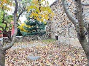 a stone building with leaves on the ground in front of a yard at Dreamy Cottage in Ayiá