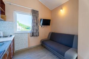 Televízia a/alebo spoločenská miestnosť v ubytovaní Apartmani Malbašić