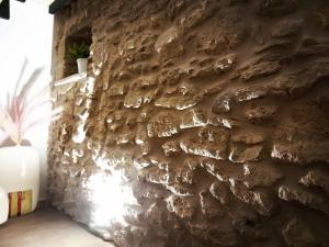 una pared de piedra en una habitación con una planta en DIMORA PIETRAMORE, en Brindisi