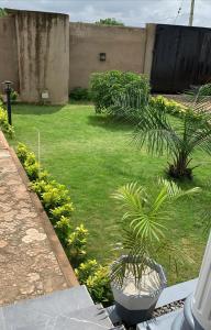 un jardín con una palmera en un patio en Senam Haus, 