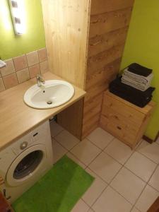 y baño con lavabo y lavadora. en Appartement à la montagne en Villar-dʼArène