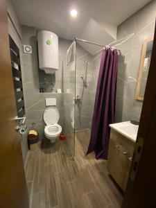 y baño con ducha, aseo y lavamanos. en President Kopaonik Apartman l/ll 