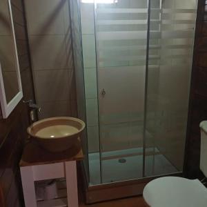 a bathroom with a shower with a sink and a toilet at Cabañas Las Escondidas in Chascomús