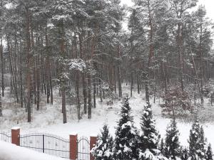 冬天的Noclegi Pod Dębem, Pulandia Brzózki