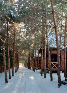 a snow covered path with trees and a cabin at Family Resort in Mostiska