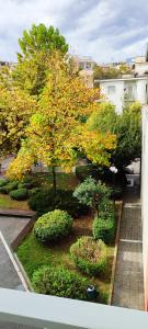a view of a garden with a tree and bushes at City Hall studio apartment in Tríkala
