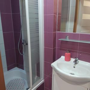 a bathroom with a sink and a shower at Pokoik Walentynka in Gniezno