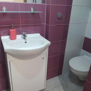 a bathroom with a sink and a toilet at Pokoik Walentynka in Gniezno