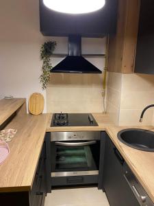 a kitchen with a stove and a sink at D&M Istočno Sarajevo in Donje Mladice