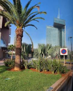 Gallery image of Spacious Apt in Rabat Hay Riad in Rabat
