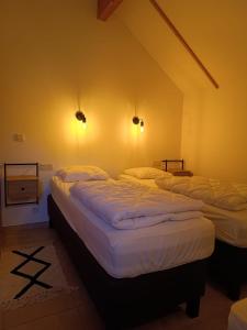 Duas camas num quarto com paredes amarelas em Maison des Fées d'Achouffe em Houffalize